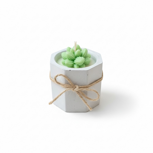 Mini macetas con suculentas