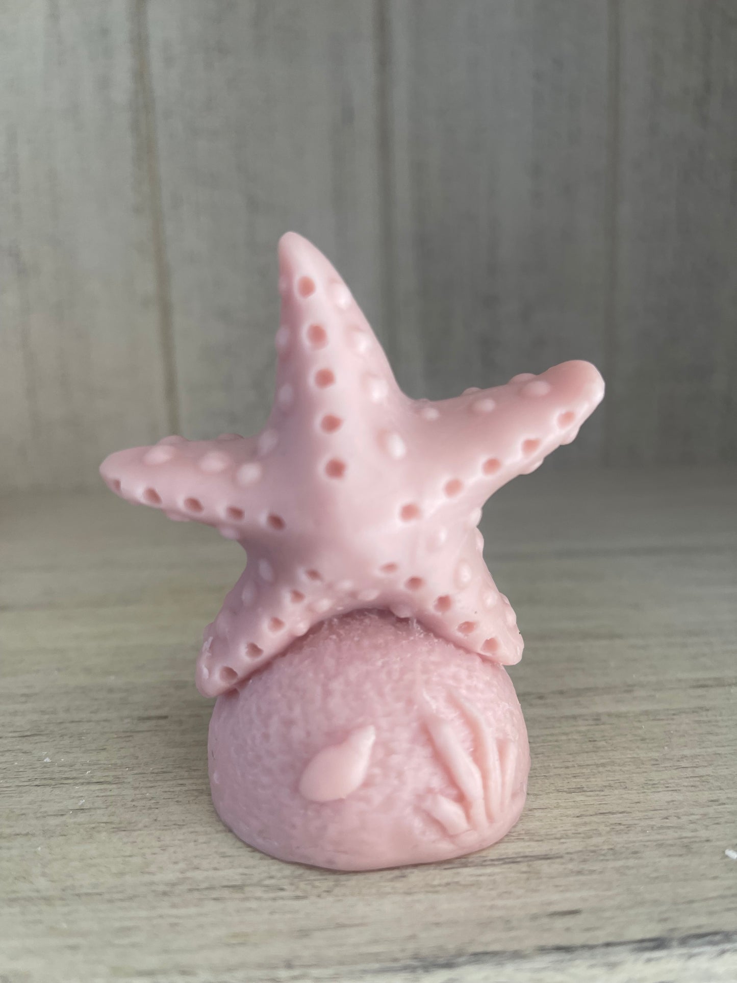 Animales marinos
