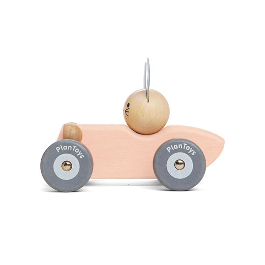 Bunny racing car